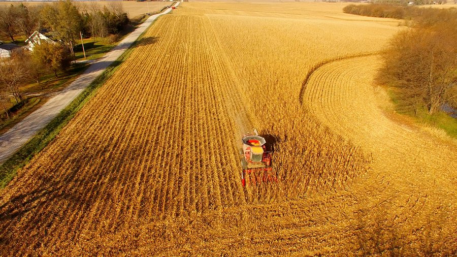 LAND AUCTION - 664+/- ACRES OFFERED IN 17 TRACTS IN CASS CO., NEBRASKA